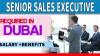 Senior Sales Executive Required in Dubai