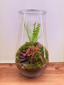 Mini Forest Terrarium – Handmade Glass Garden