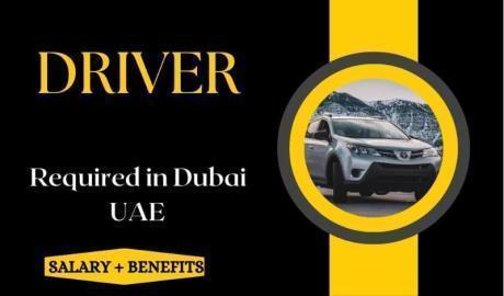 Driver Required in Dubai