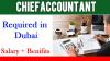 Chief Accountant Required in Dubai