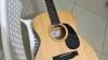 Trade Rush Sigma Semi Acoustic Guitar.