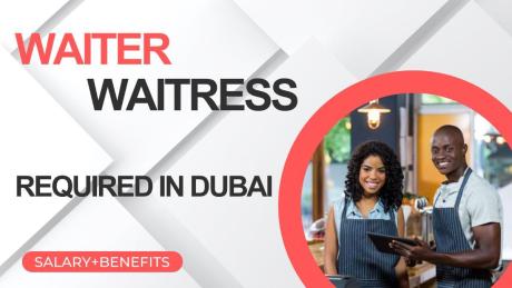 Waiter / Waitress Required in Dubai -