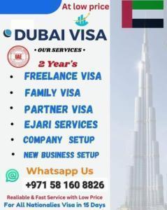 2 year freelance visa