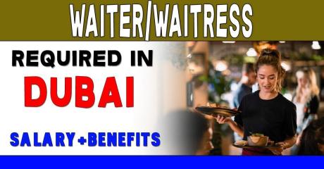 Waiter/Waitress Required in Dubai