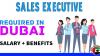 Sales Executive Required in Dubai