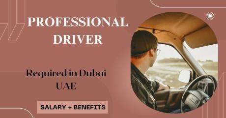 Professional Driver Required in Dubai