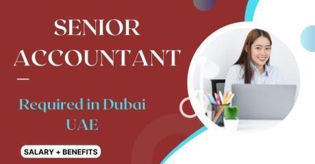Senior Accountant Required in Dubai