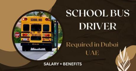 School Bus Driver Required in Dubai