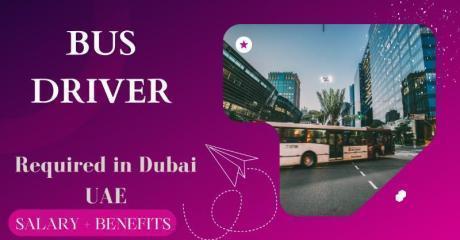 Bus Driver Required in Dubai
