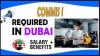 COMMIS Required in Dubai UAE