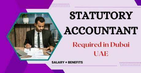 Statutory Accountant Required in Dubai