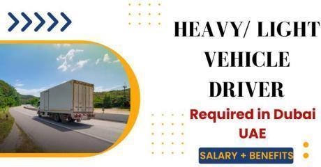 Heavy / Light Vehicle Driver Required in Dubai