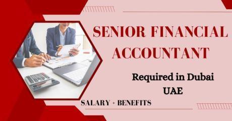 Senior Financial Accountant Required in Dubai