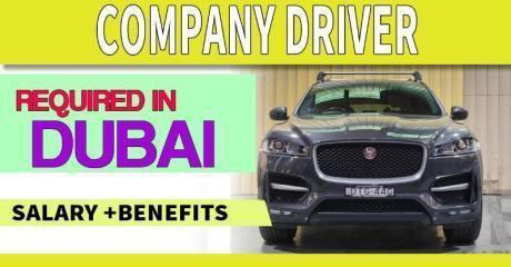 Company Driver Required in Dubai
