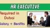 Human Resources Executive Required in Dubai