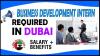 Business Development Intern Required in Dubai