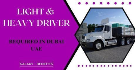 LIGHT & HEAVY DRIVER Required in Dubai
