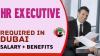 HR EXECUTIVE Required in Dubai