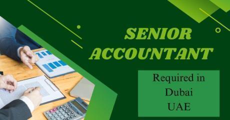 Senior Accountant Required in Dubai