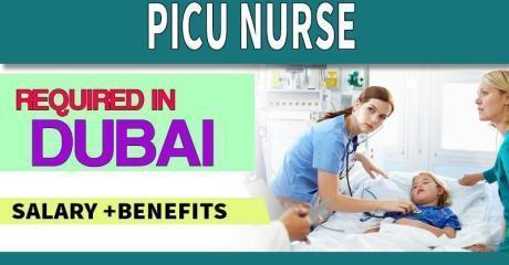 PICU Nurse Required in Dubai