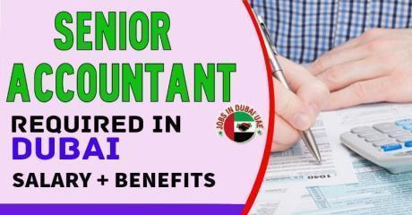 Senior Accountant Required in Dubai