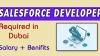 SALESFORCE DEVELOPER Required in Dubai