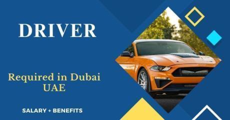 Driver Required in Dubai