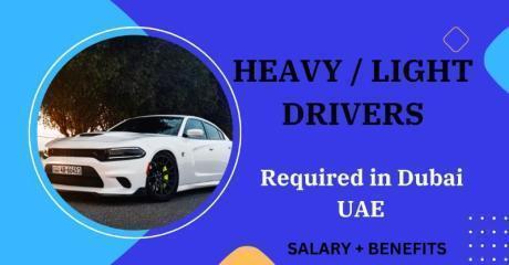 Heavy / Light Drivers Required in Dubai