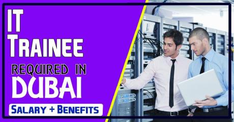 IT Trainee Required in Dubai