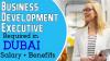 Business Development Executive Required in Dubai