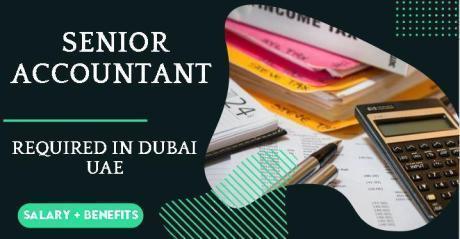 Senior Accountant Required in Dubai