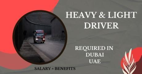 Heavy and Light Driver Required in Dubai