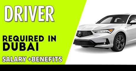 Driver Required in Dubai