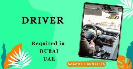 Driver Required in Dubai