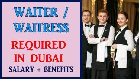 Waiter / Waitress Required in Dubai