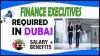 Finance Executives Required in Dubai