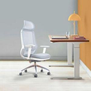 AED 935, Premium Office Chairs Solutions
