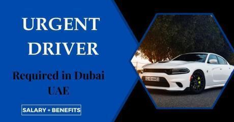 Urgent Driver Required in Dubai