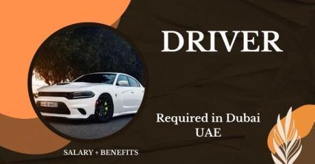 DRIVER Required in Dubai