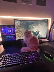 GAMING PC / RTX 4070 / i7-13700 / 32 GB RAM